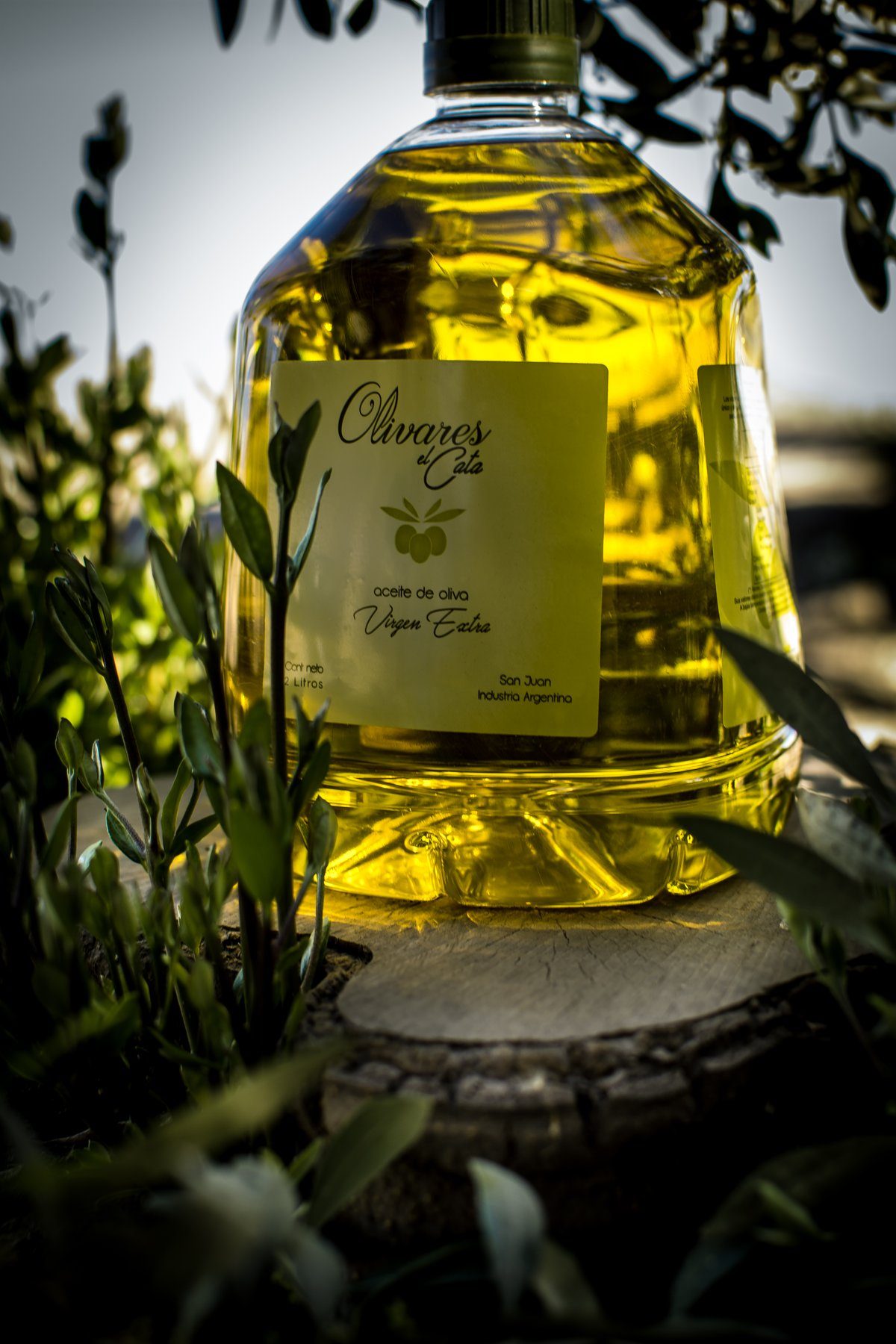 Diferencias entre aceite virgen y extra virgen