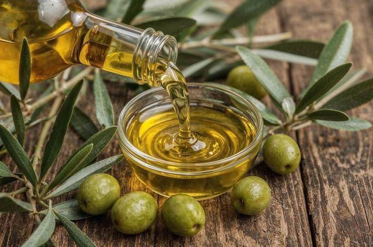 Aceitunas en cosecha - El Cata