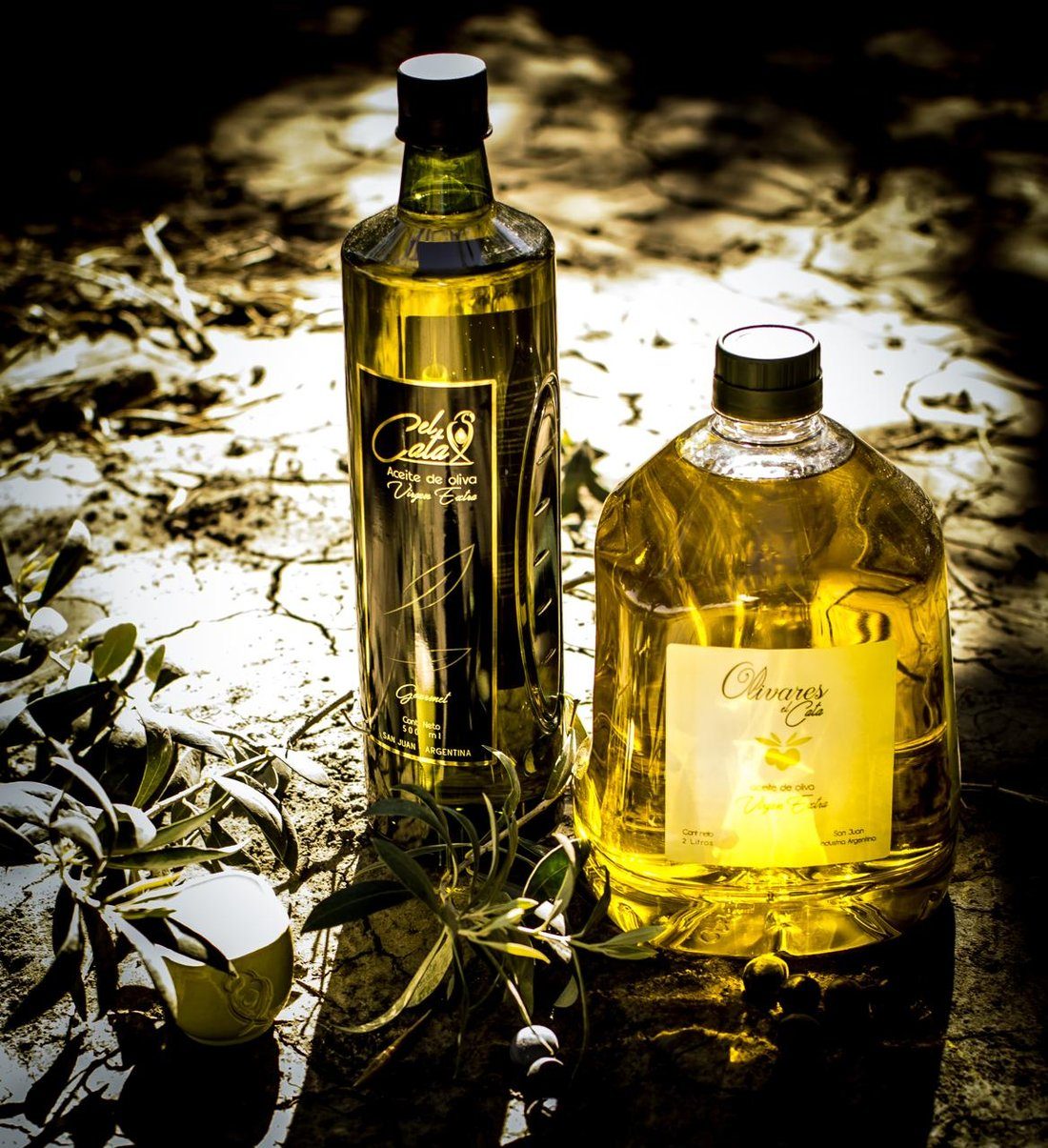 Aceites Olivares El Cata